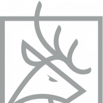 vd-logo_500x